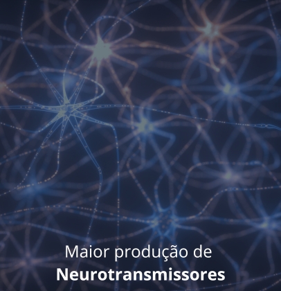 Produção de neurotransmissores