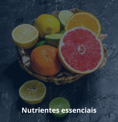 Nutrientes essenciais