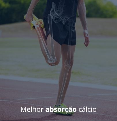 Absorção cálcio